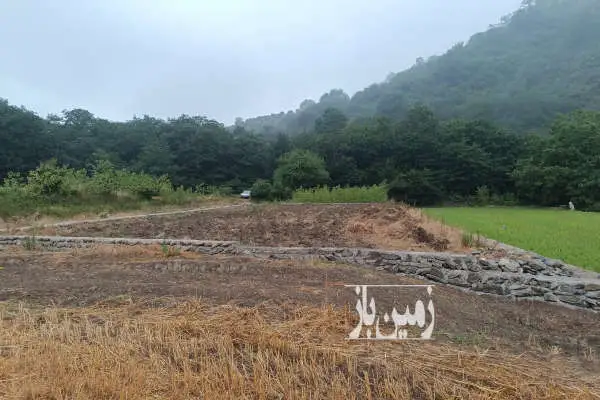 فروش زمین کشاورزی ۷۰۰ متر روستای بالاجاده - تصویر 3