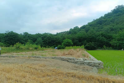 فروش زمین کشاورزی ۷۰۰ متر روستای بالاجاده