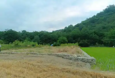 فروش زمین کشاورزی ۷۰۰ متر روستای بالاجاده