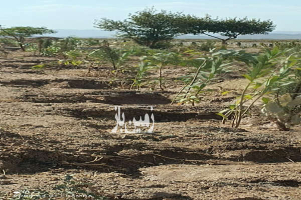 فروش زمین صفا دشت بعداز روستای اختر اباد ۱۲۰۰ متر-1