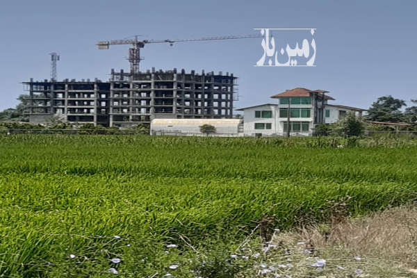 فروش زمین ۱۰۰۰ متر ایزدشر رستم رود جنگلی-2