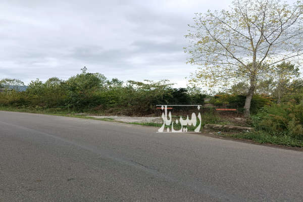 فروش زمین باغی ۲۸۵۰ متری در لنگرود سیگارود-2