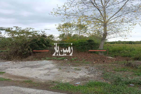 فروش زمین باغی ۲۸۵۰ متری در لنگرود سیگارود-3