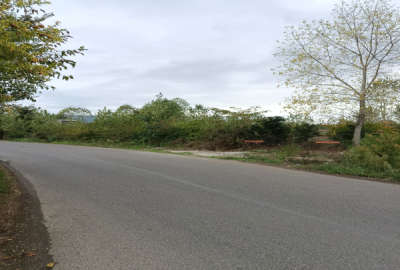 فروش زمین باغی ۲۸۵۰ متری در لنگرود سیگارود