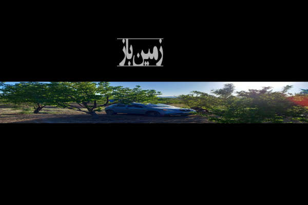 فروش باغ بادام ۷۰۰ متری در شهرک باغی شوراب صغیر-4