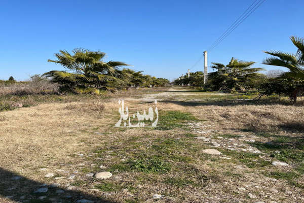 فروش ۱۵۰ متر زمین جاده دریا اکند چفت سر-2