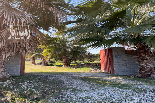 فروش ۱۵۰ متر زمین جاده دریا اکند چفت سر-3