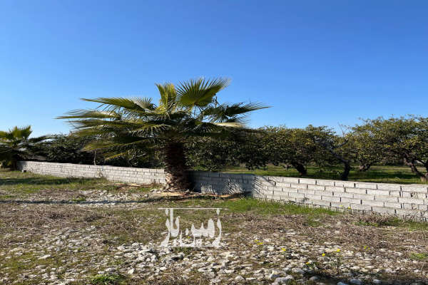 فروش ۱۵۰ متر زمین جاده دریا اکند چفت سر-4