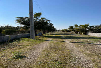 فروش ۱۵۰ متر زمین جاده دریا اکند چفت سر