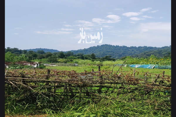 فروش زمین با طبیعت عالی در تالش طولارود ۳۰۰ متر-2