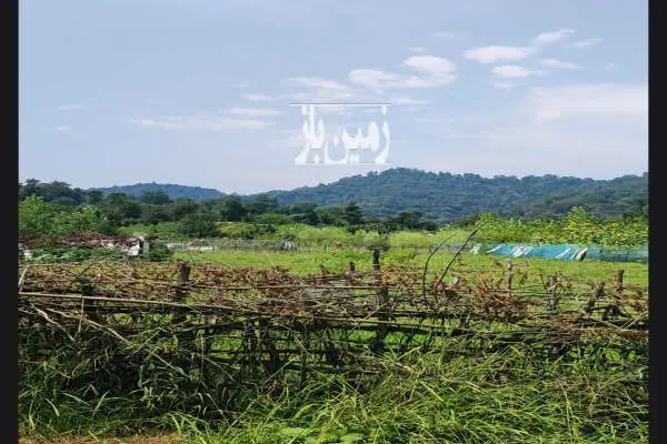 فروش زمین با طبیعت عالی در تالش طولارود ۳۰۰ متر - تصویر 2