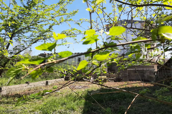 فروش زمین مسکونی در جاده ذوات علی آباد ۲۵۰ متر-2