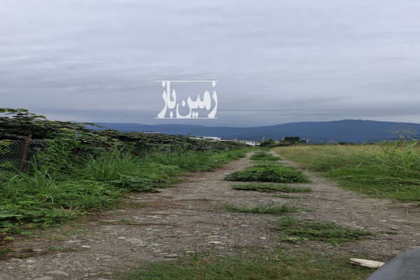فروش زمین ۳۰۵ متری متل قو سیسرا گلور-1