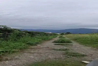 فروش زمین ۳۰۵ متری متل قو سیسرا گلور