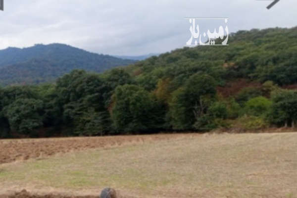 فروش زمین کشاورزی ۵۰۰ متر علی ابادکتول روستای کردابا-1