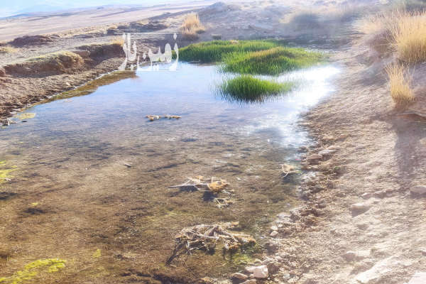 فروش زمین کشاورزی با مجوز گلخانه روستای صادقیه ۳۱۰۰ متر-2
