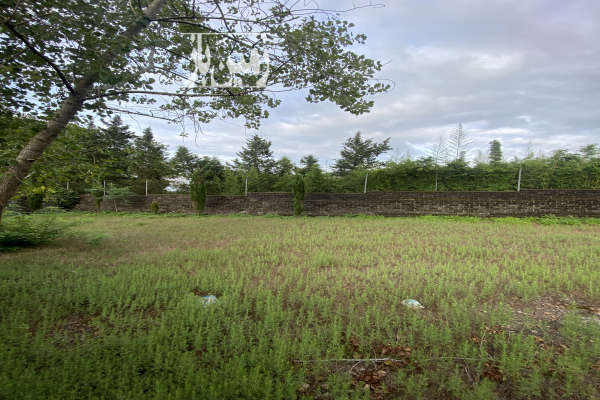 فروش زمین ساحلی مسکونی پلاک ۲ دریا در انزلی-2