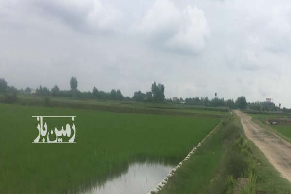 فروش زمین کشاورزی مناسب باغ و کلخانه دابودشت طو ۲۲۰۰ متر-1