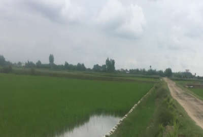 فروش زمین کشاورزی مناسب باغ و کلخانه دابودشت طو ۲۲۰۰ متر