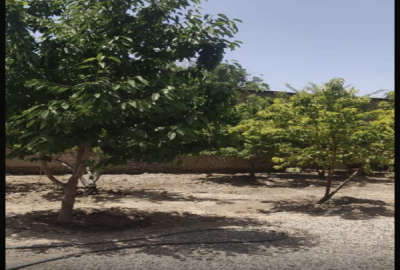 فروش زمین و خانه کلنگی قاسم آباد کوچک ۴۸۰ متر
