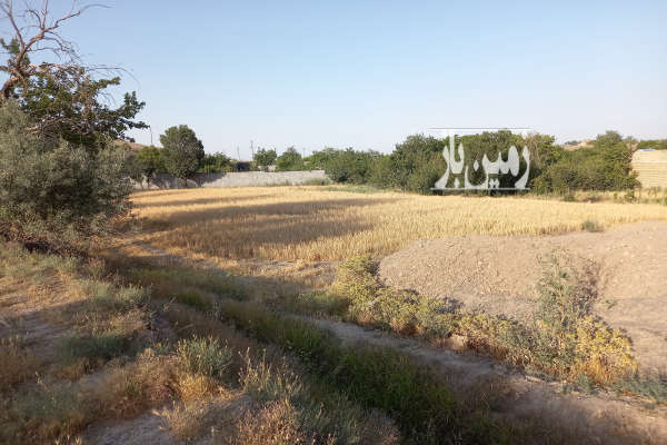 فروش یک قطعه زمین با سند ۶ دانگ ملکی در روستای کاهو-1