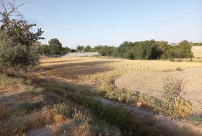 فروش یک قطعه زمین با سند ۶ دانگ ملکی در روستای کاهو