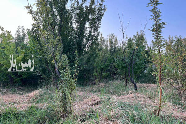 فروش ۵۸۰ متر باغ کردامیر لوکیشن عالی قابلیت ساخت-4