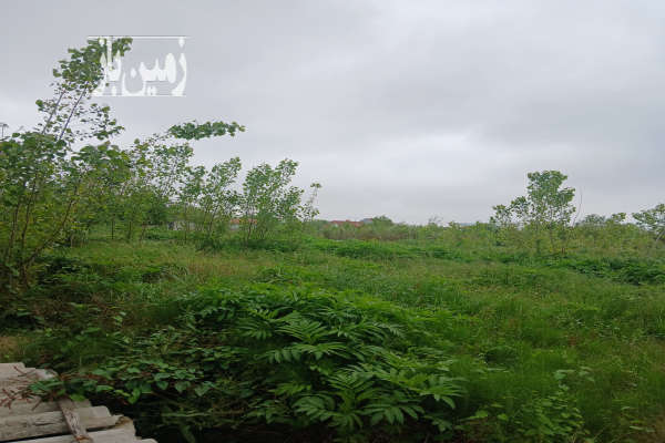 فروش زمین مسکونی ۱۲۲متر در رشت سیاه اسطلح-3