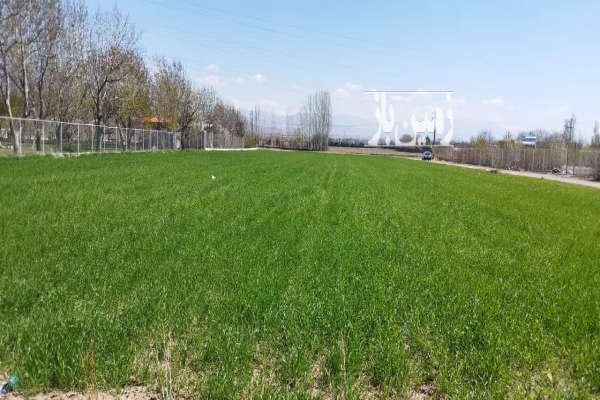 فروش زمین ورودی شهر قزوین ابتدای جاده کورانه ۶۰۰۰ متر-3