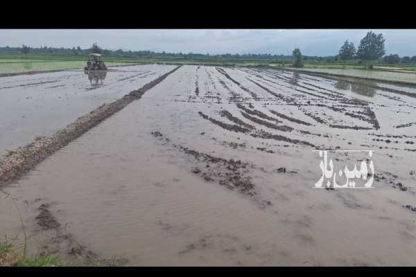 فروش ۲۲۰۰ متر زمین کشاورزی سنگر روستای شیخ علی بست-1