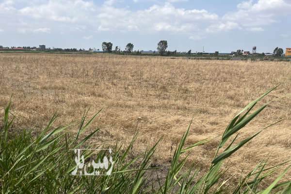 زمین فروشی جاده به سمت امیر آباد ۱۱۶۸ متر-1