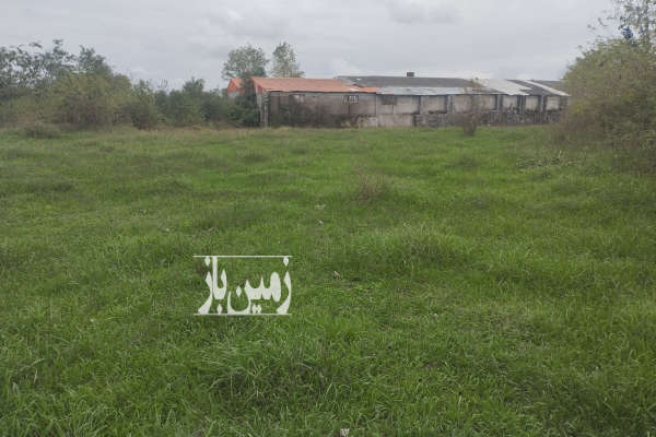 فروش زمین باغی به متراژ ۲۶۶۵ رشت-2