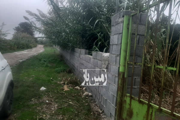 فروش باغ مرکبات گیل خواران روستای ذغال منزل ۲۱۰۰۰ متر-3
