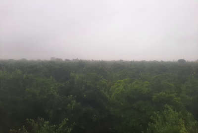 فروش باغ مرکبات گیل خواران روستای ذغال منزل ۲۱۰۰۰ متر