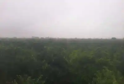 فروش باغ مرکبات گیل خواران روستای ذغال منزل ۲۱۰۰۰ متر