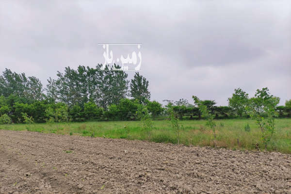 فروش زمین مسکونی و باغی ۲۸۳ متری در روستای کرچک لاریجانی-1