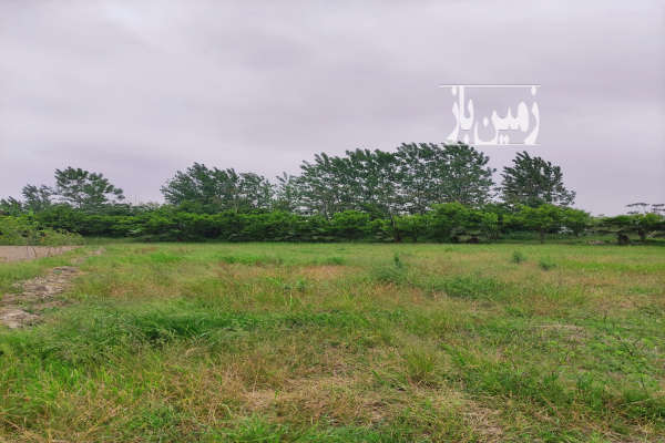 فروش زمین مسکونی و باغی ۲۸۳ متری در روستای کرچک لاریجانی-2