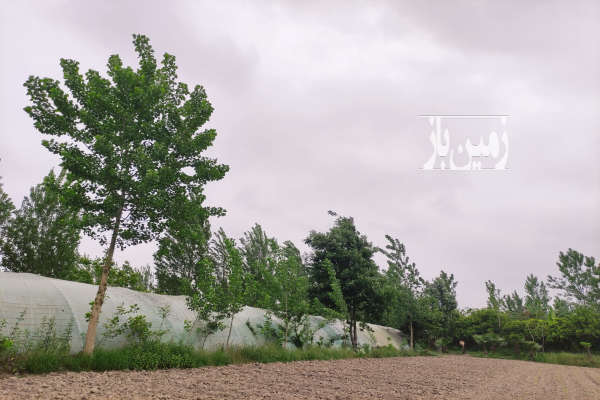 فروش زمین مسکونی و باغی ۲۸۳ متری در روستای کرچک لاریجانی-4