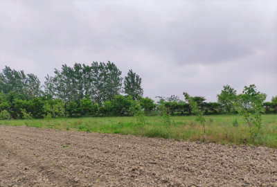 فروش زمین مسکونی و باغی ۲۸۳ متری در روستای کرچک لاریجانی