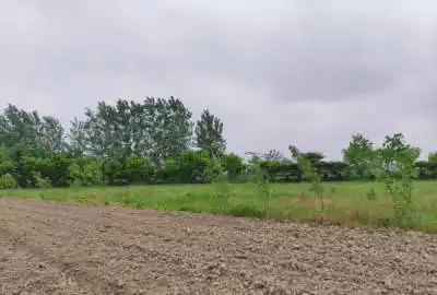 فروش زمین مسکونی و باغی ۲۸۳ متری در روستای کرچک لاریجانی
