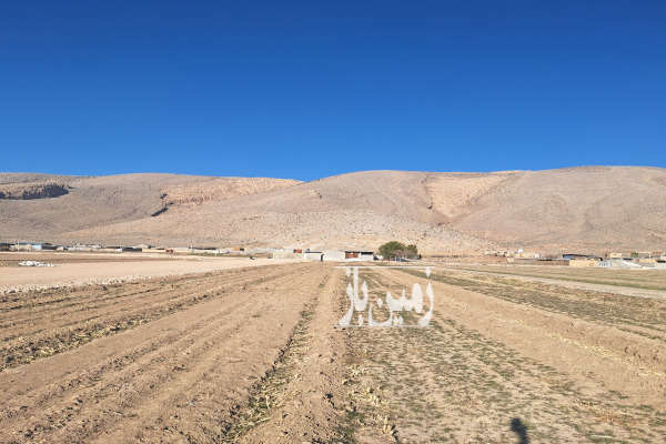 فروش زمین کشاورزی ۱ هکتار مناسب باغ دارای اب روستای مراگلو-2