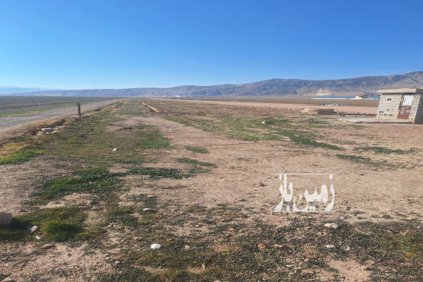 فروش زمین کشاورزی ۱ هکتار مناسب باغ دارای اب روستای مراگلو-4