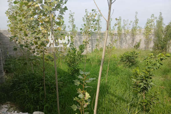 فروش زمین چسبیده به بافت مسکونی ۱۴۰ متر در شامحله-3