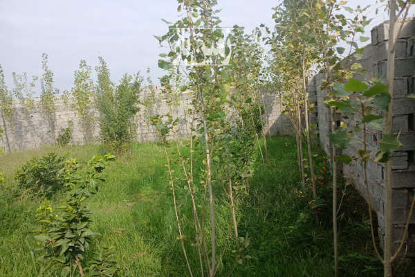 فروش زمین چسبیده به بافت مسکونی ۱۴۰ متر در شامحله-4