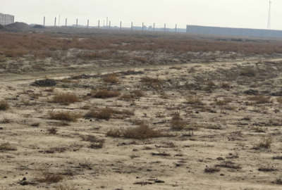 فروش زمین اتوبان غدیر روستای نجم اباد دارای پروانه کارخانه قارچ
