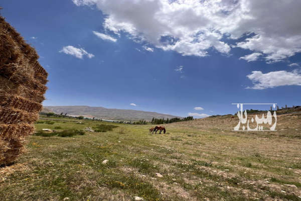 فروش ۲ هکتار زمین کشاورزی روستای سله بن-1