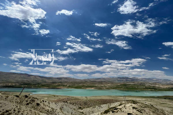 فروش ۲ هکتار زمین کشاورزی روستای سله بن-2