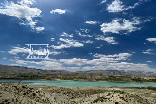 فروش ۲ هکتار زمین کشاورزی روستای سله بن - تصویر 2