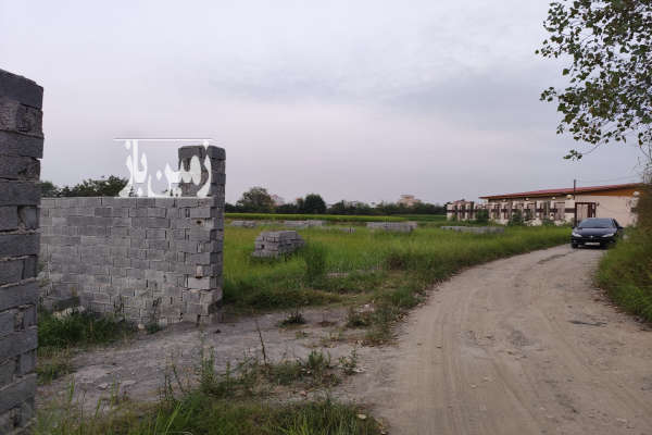 فروش زمین ۲۵۰ متر در روستای درازان-2