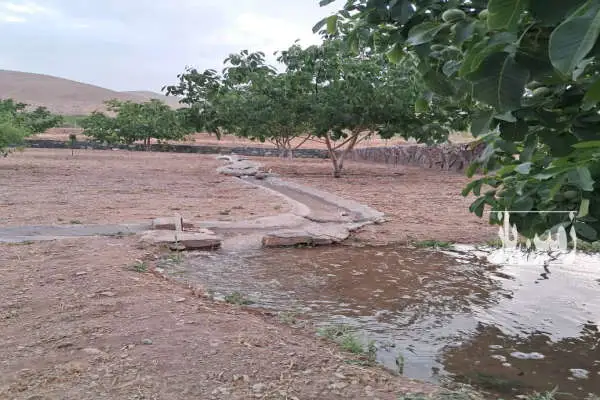 فروش باغ ۹۵۰ متر با یک ربع آب از قنات - تصویر 2